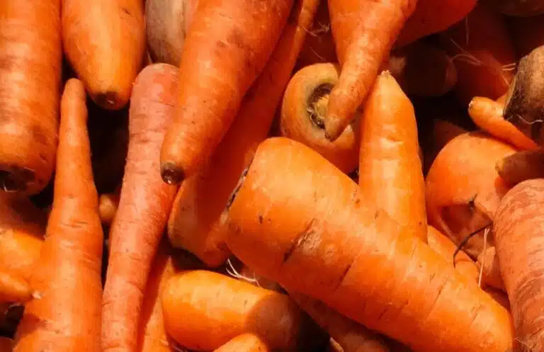 Orange carrots.