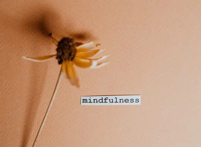 The word mindfulness and a flower on a peach colored background.