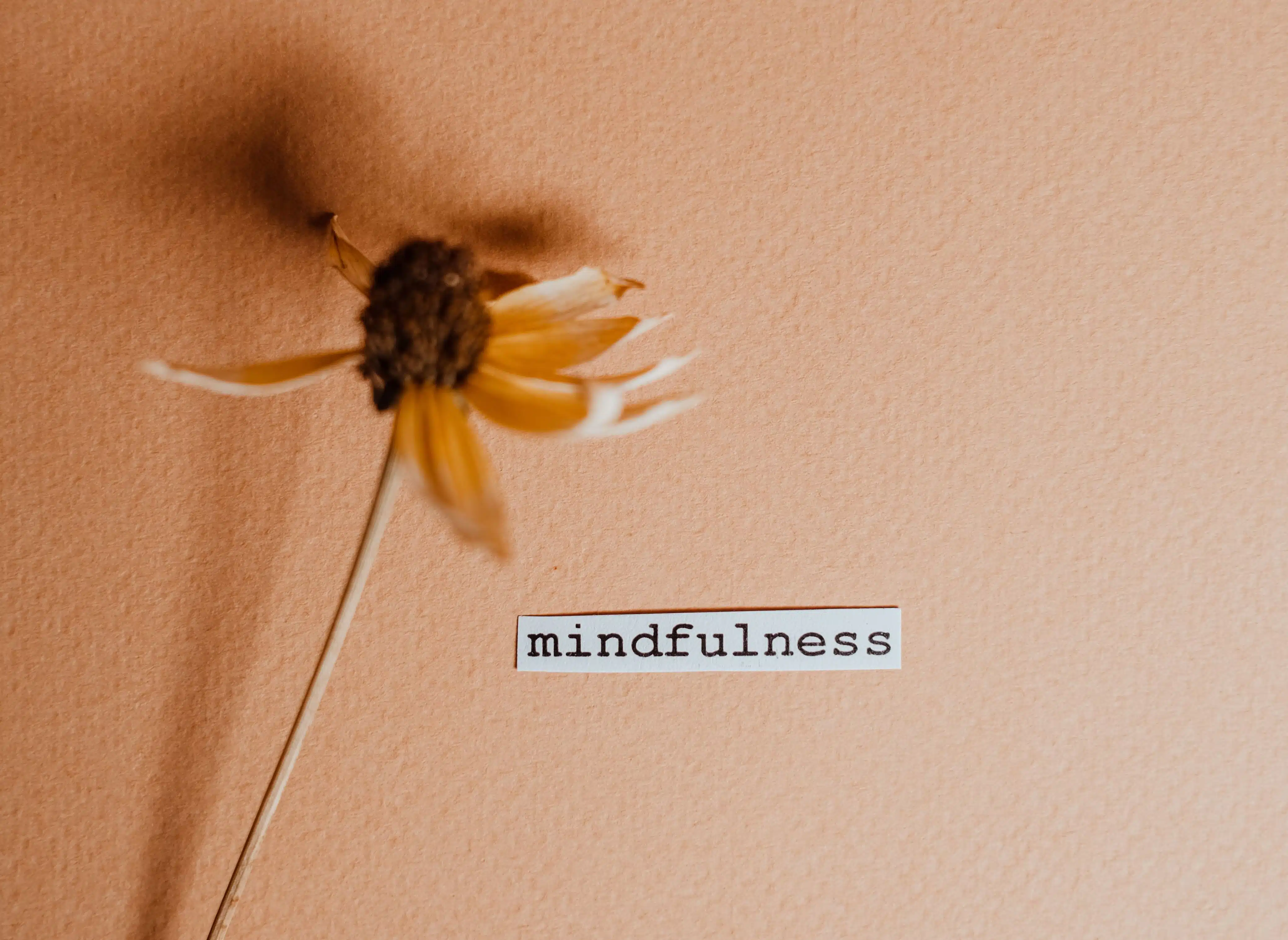 The word mindfulness and a flower on a peach colored background.
